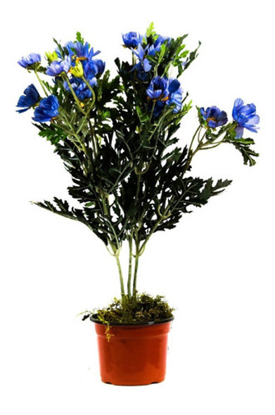 Plantas Artificiales Con Flores 7 Brazos . Regalosdeco 0