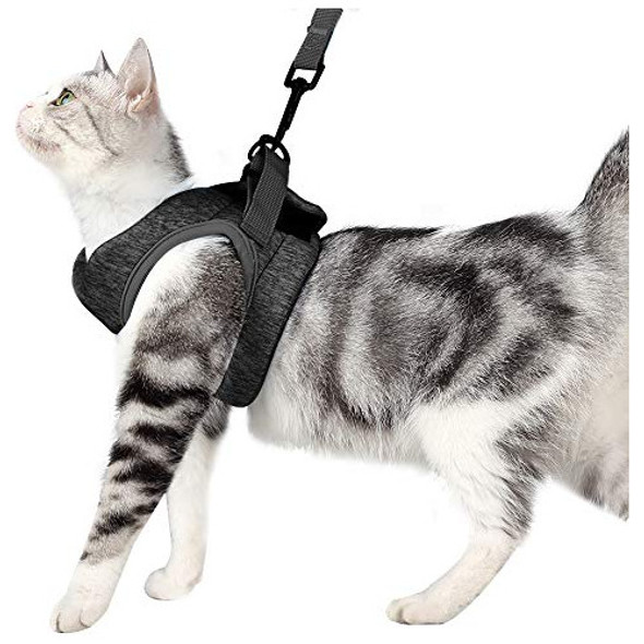 Arnés Y Correa Para Gatos Heywean: Chaqueta Para Caminar Ult 0