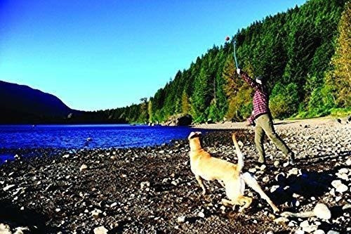 ¡tiralo Lanzador De Pelotas De Perro 1