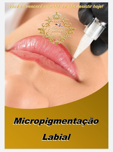 Micropigmentação Apostila Completa Com Sua Logo+certificado 1