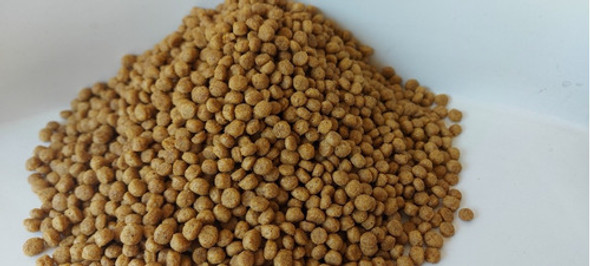 Alimento Balanceado Para Peces Omnívoros De 2 A 4mm X 1 Kg 1