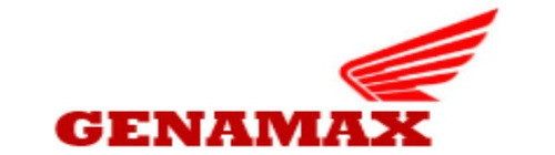Espejos Storm 125 ( Nitro) Honda Genamax 1