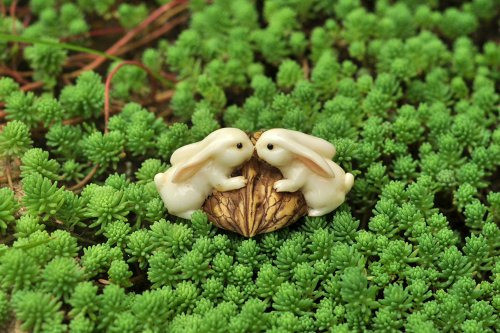 Colección Top Enchanted Story Garden Conejos Besándose En Wa 1