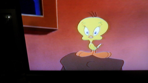 Vhs Los Misterios De Silvestre & Tweety Doble Peligro 1