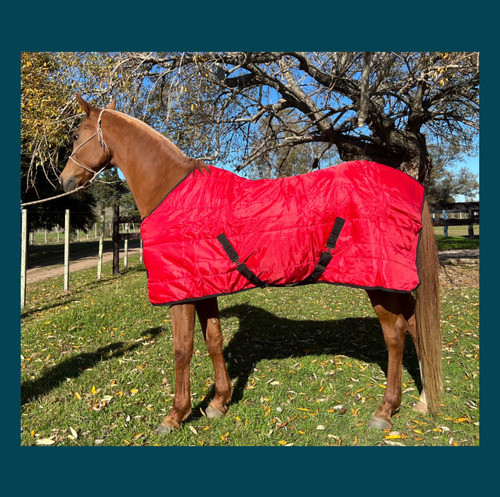 Mantas Para Caballos 250g Relleno 0
