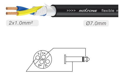 Cable Roxtone Sssj210l10 1