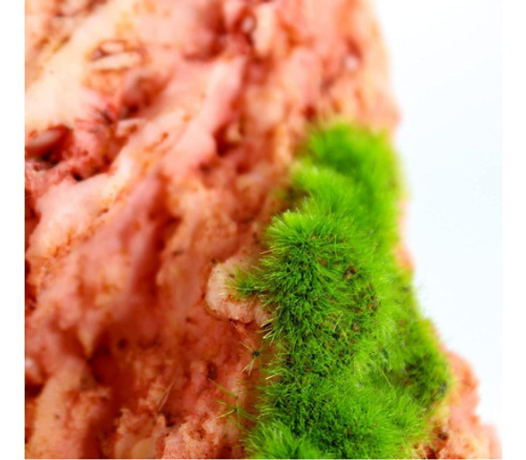 Penn Plax Aqua-floras Roca Roja Con Semillas Resina Plantado 1