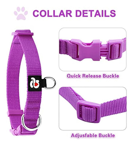 Azuza Paquete De 3 Collares De Perro Cómodos Y 1