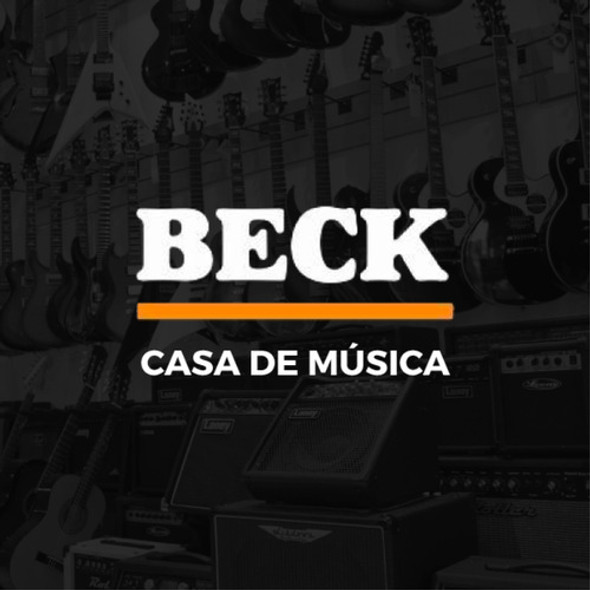 Estuche Guitarra Clasica / Jinchuan 312 1
