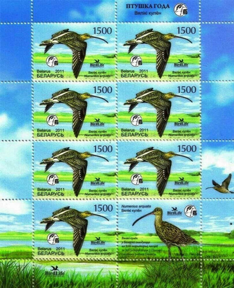 Fauna - Ave - Bielorrusia - Hojita Mint 0