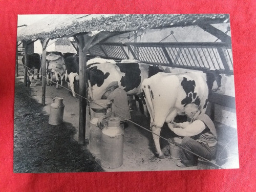 Foto Exposición Eva Peron Y Su Obra Social 0