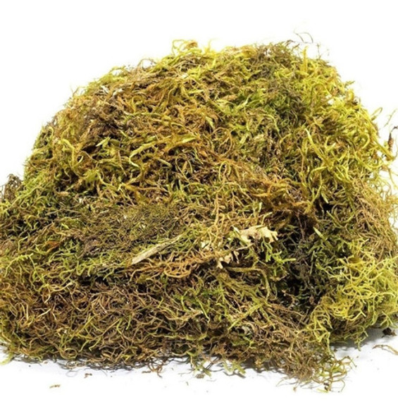 Musgo Artificial Para Arranjos E Decoração - 3.2kg 0