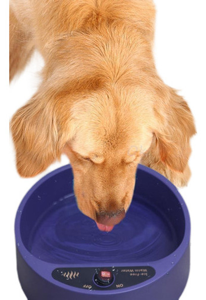 Eléctrica Térmica Al Aire Libre Climatizada Mascotas Agua Bo 0