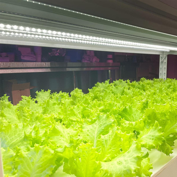 Luces Led De Crecimiento Plantas De Interior De Espectr... 1