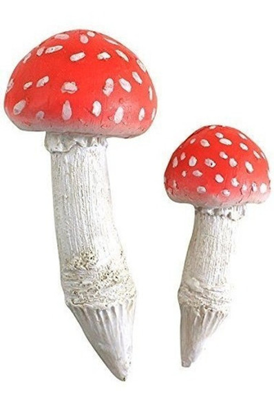 Top Colección Miniature Fairy Garden Y Terrarium Mushroom Pi 0