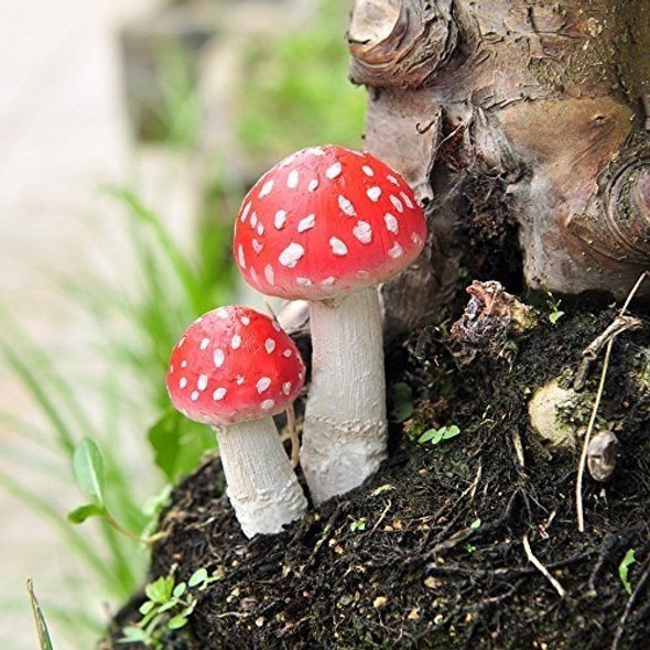 Top Colección Miniature Fairy Garden Y Terrarium Mushroom Pi 1