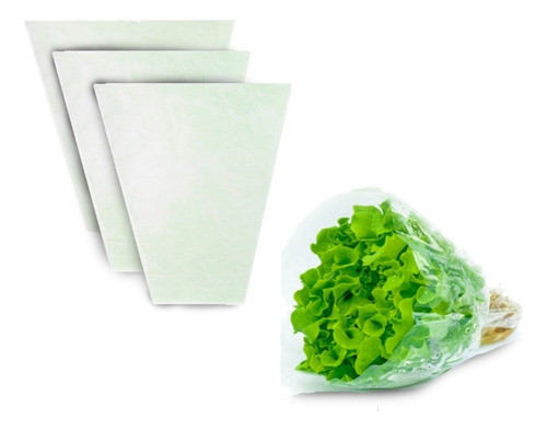 Embalagem Cônica 30x33x14 Lisa Alface Hidropônico 1000un 0