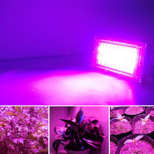 Lámpara De Cultivo Led 50w Lámpara De Cultivo Led Pla... 1