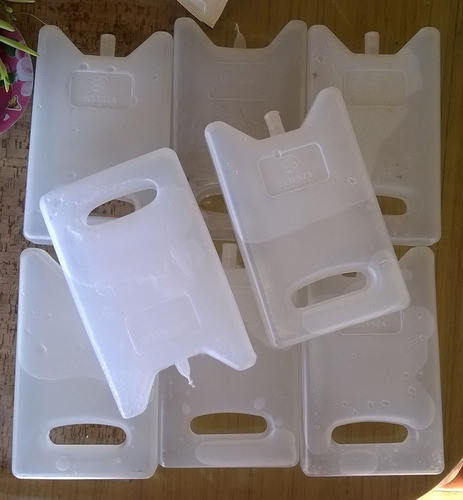 Lote 2 Gel Refrigerante Grandes Rígidos 0