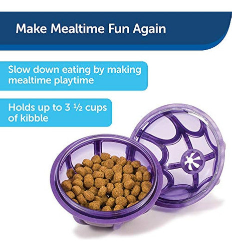 Petsafe Busy Buddy Kibble Mordisco Dispensador De Comida Jug 1