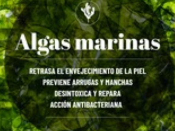 6 Ampollas Algas Extra Hidratacion Apto Dermapen Y Electropo 1 6 Ampollas Algas Extra Hidratacion Apto Dermapen Y Electropo 1