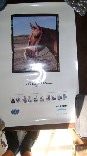 Coleccionismo Tarjetas Telefonicas Afiche Telecom Aldo Sessa 1