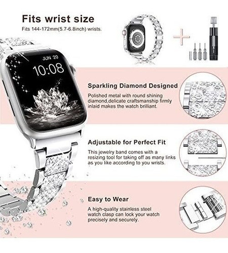 Malla Para Apple Watch Series1-7  Brillos Plata 42/44/45mm 1