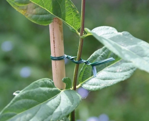 Alambre Forrado 30 Metros Para Jardin 1