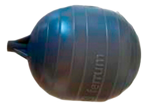 Repuesto Boya Chica Para Valvula De Entrada De Mochila Ferru 0