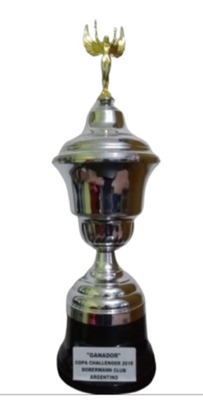 Trofeo Copa De Chapa 88cm 0 Trofeo Copa De Chapa 88cm 0