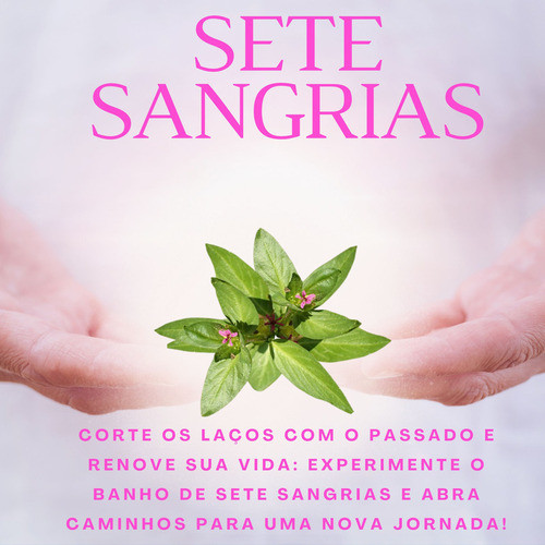 Sete Sangria Quebra Demanda Erva Pura Banho Defumação-ritual 1