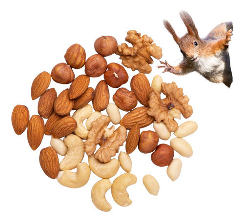 Mix De Frutos Secos Especial Sin Pasas X 5 Kilos | Granel | 0