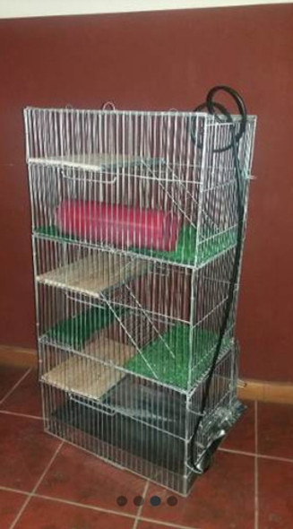 Jaula Hurón Chinchilla Cobayo Con Pasto Cintetico 1