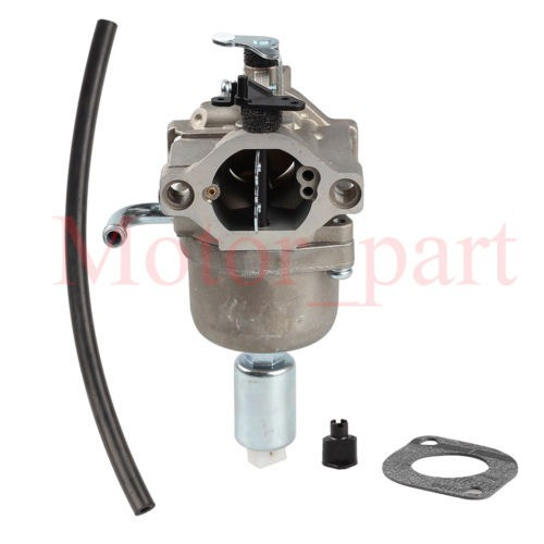 Carburador Carburador De Briggs Stratton 796109 591731 59459 1