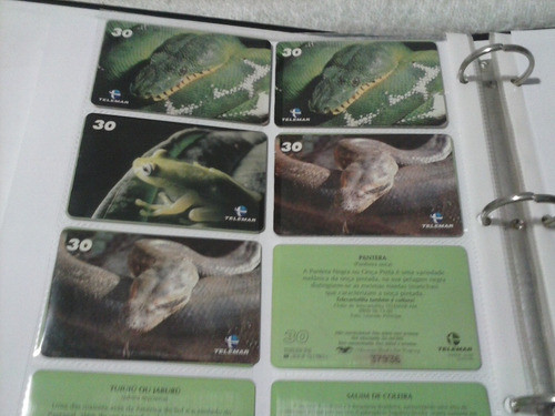 Cartão Telefônico - Animais - Completo - Amazonas 1