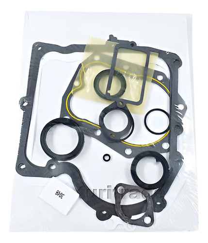 Nuevo Sistema De La Junta, Para Briggs   Stratton 494241 [st 0