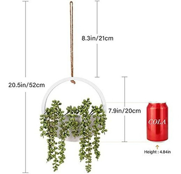 Floweroyal - 2 Plantas Artificiales Para Colgar Suculentas D 1