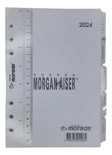 Repuesto Agenda Morgan Aiser 2023 Diario Completo 13x19 Cm 1