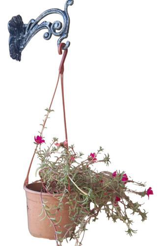 Ménsula Colgante Ménsula Para Campana Ménsula Portamaceta 0