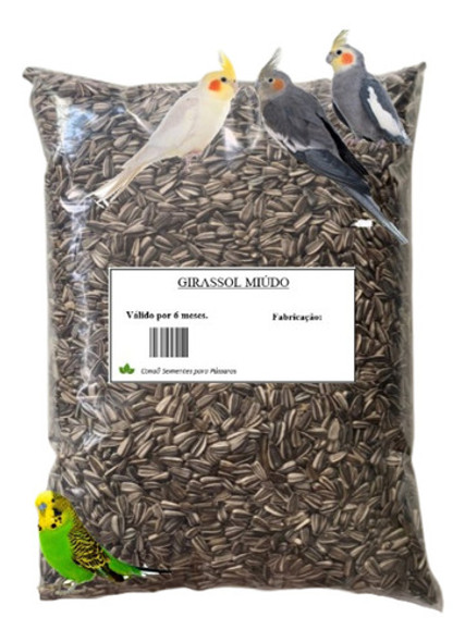 Semente  5 Kg Girassol Pequeno Pássaros Papagaio Miudo Limpa 0