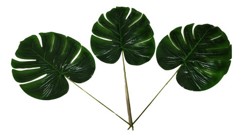 Jardim Vertical Kit 4 Costela De Adão Artificial Toque Real 1