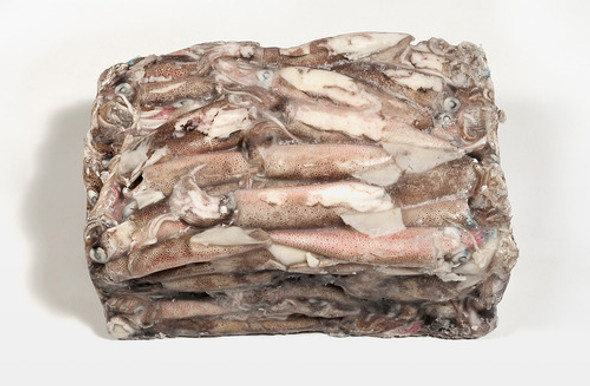 Tentaculo Calamar Cong Plancha X 10kg Premium! Distribuidor 1