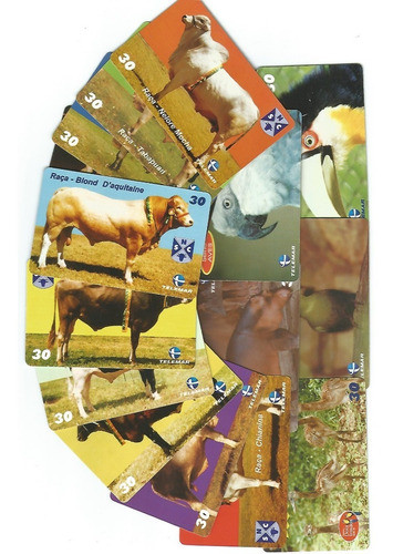 200 Cartões Telefônicos Do Pernambuco 1