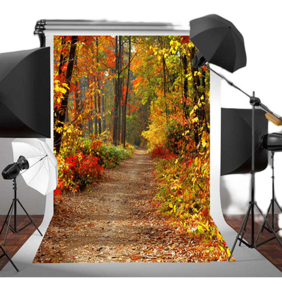 Los 3x5ft Otoño Otoño Bosque Vinilo Fotografía Fondo Estudio 0