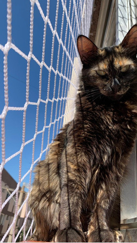 Red Deportiva Contención Padel 1m2 1