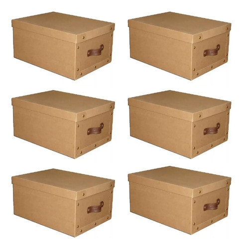 Caja Baulera Organizadora Grande Kraft X6 Pettish Online Cg 0