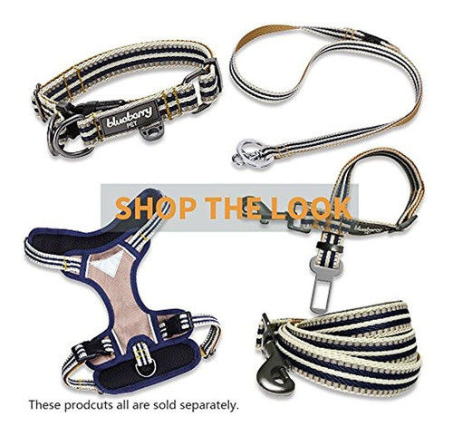 Blueberry Pet Coleccion Multicolor  Reflectante De 98 Pies 1