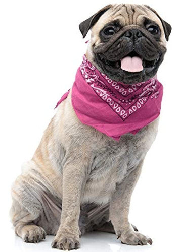 Juego De 4 Baberos Triangulares Bandana Poliester Paisley P 0