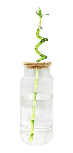 Florero Vidrio Decoracion Plantas Con Tapa Perforada 0