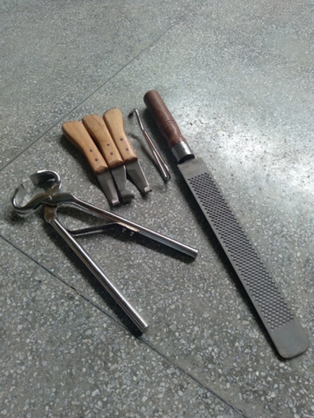 Casqueador Completo Profissional Equino Reforçado Oferta 1 Casqueador Completo Profissional Equino Reforçado Oferta 1